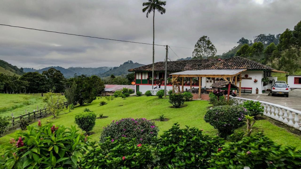 Finca La Playa Ecohotel - Experiencia Campestre - Salento Ngoại thất bức ảnh