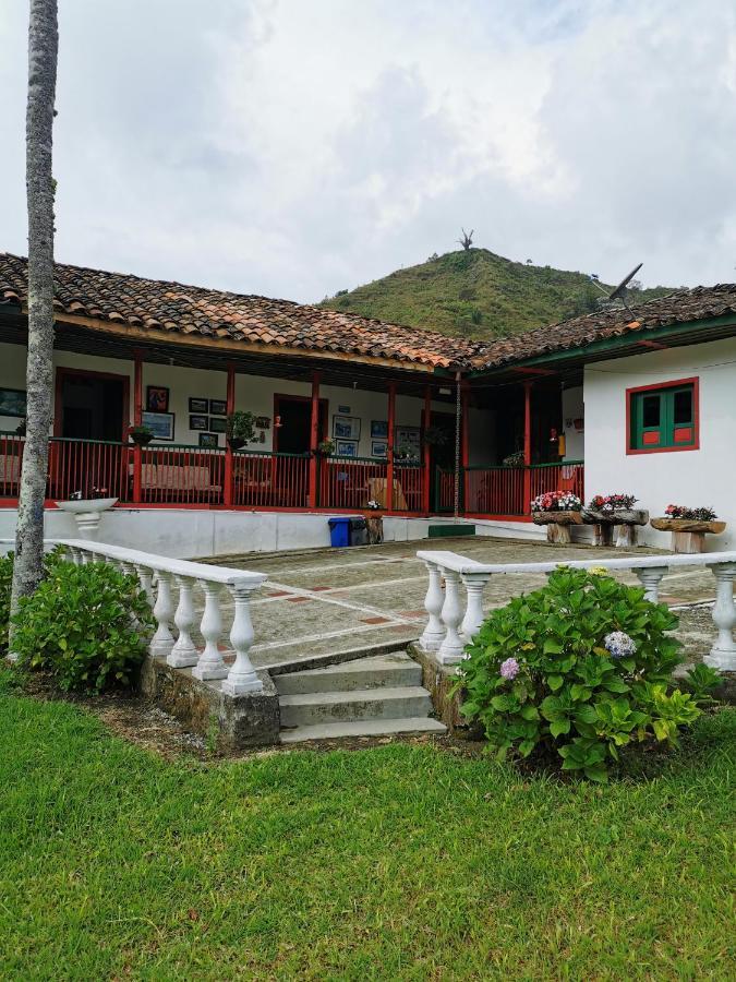 Finca La Playa Ecohotel - Experiencia Campestre - Salento Ngoại thất bức ảnh