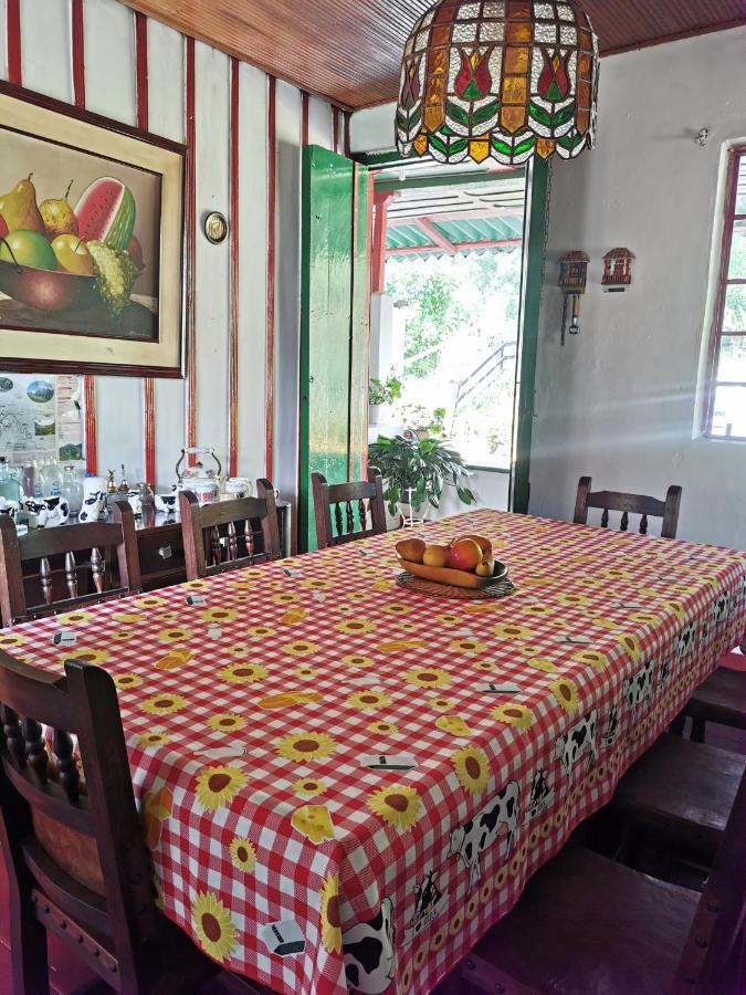 Finca La Playa Ecohotel - Experiencia Campestre - Salento Ngoại thất bức ảnh
